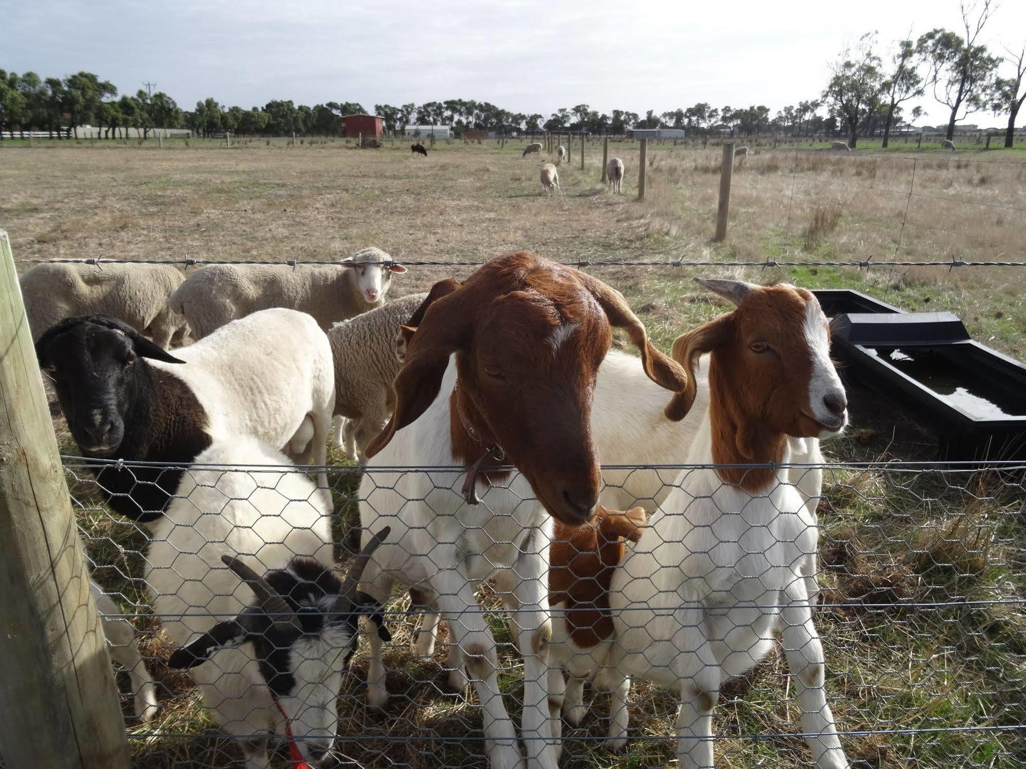 The Oxley Estate Bed & Breakfast 5*